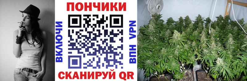 A-PVP Ишим