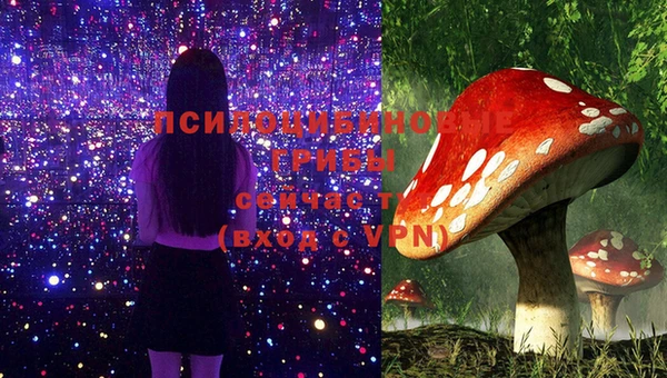 apvp Переславль-Залесский