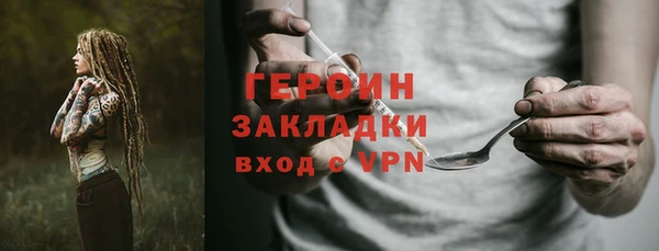 индика Гатчина