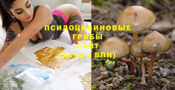 амф Галич