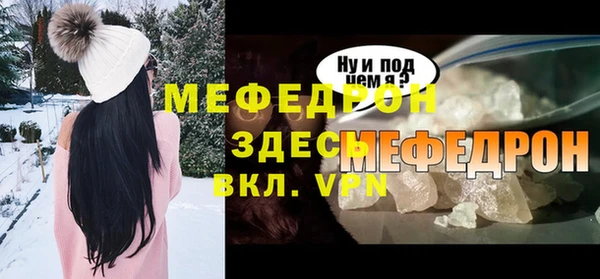 индика Гатчина