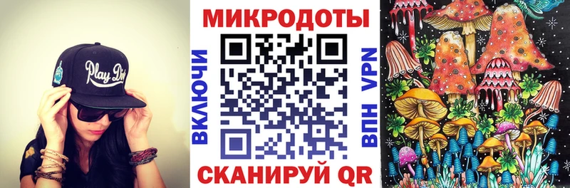 Псилоцибиновые грибы Psilocybe Ишим