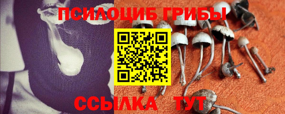 Галлюциногенные грибы Psilocybe  Псилоцибиновые грибы GOLDEN TEACHER  Ишим  Вход с VPN 